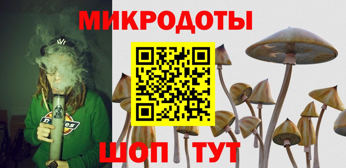 Тулун  Галлюциногенные грибы Psilocybe  Псилоцибиновые грибы Cubensis  Вход с VPN 